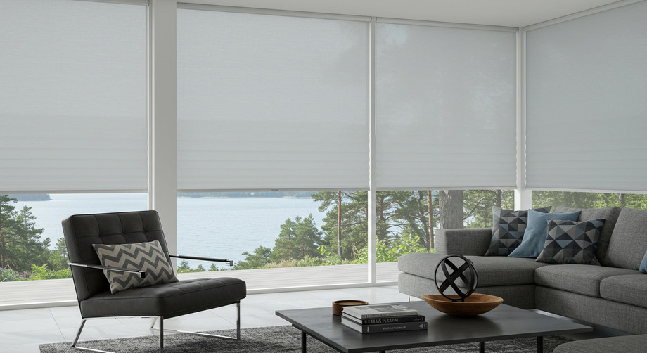 Windows Blinds and Shades