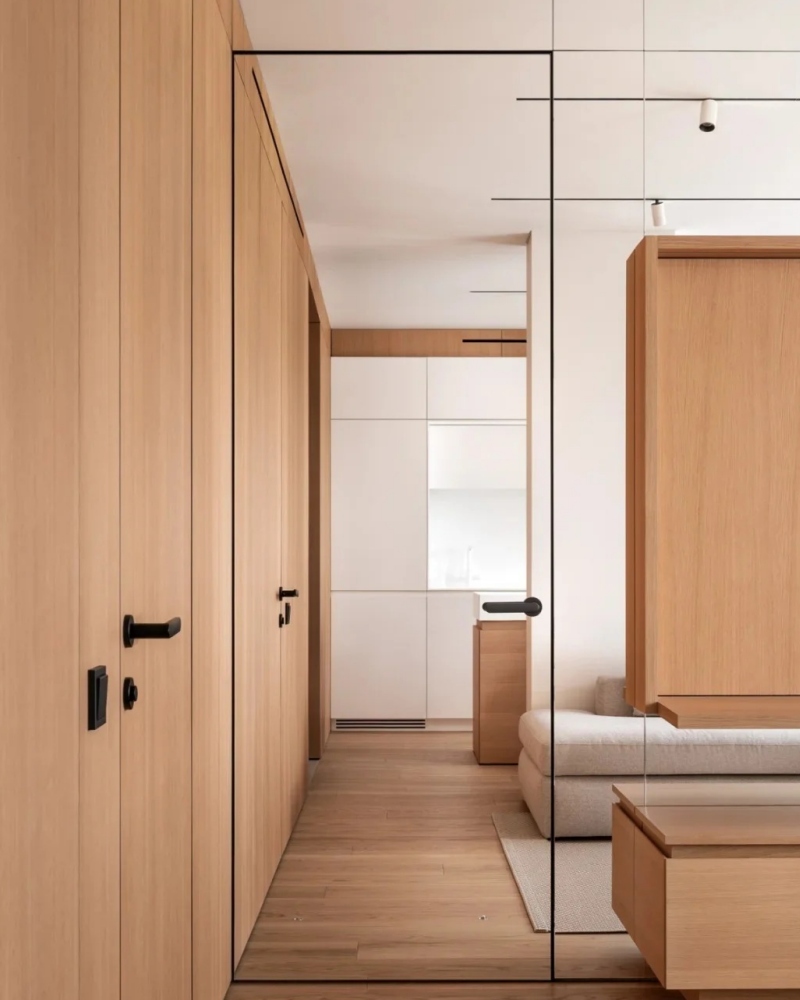 Mirror Panel Hidden Doors