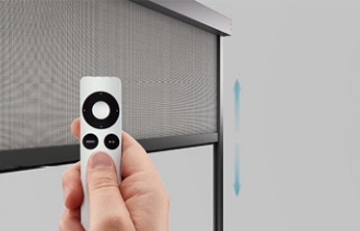 Electric remote control